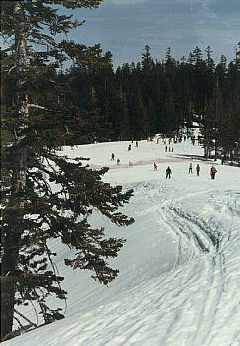 Mammoth Ski Area