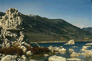 Mono Tufa Towers